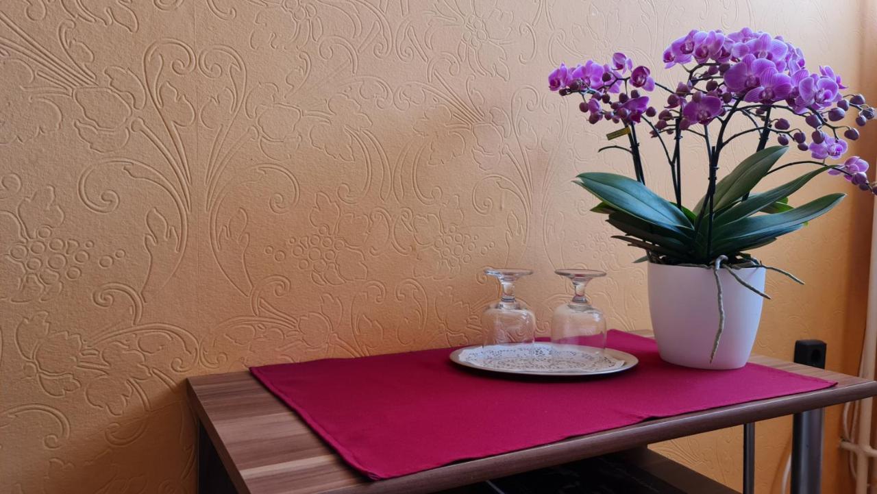 Hotel Oazis Panzio